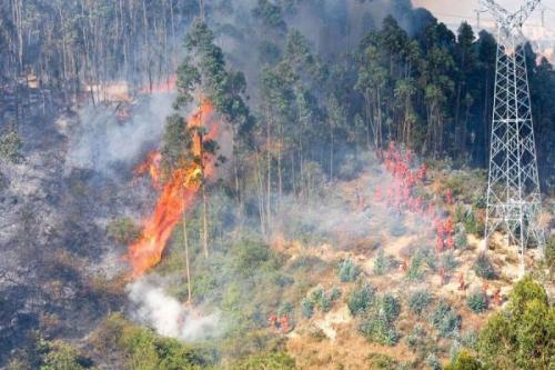 u=3732514376,1961893045&fm=27&gp=0.jpg u=3732514376,1961893045&fm=27&gp=0.jpg